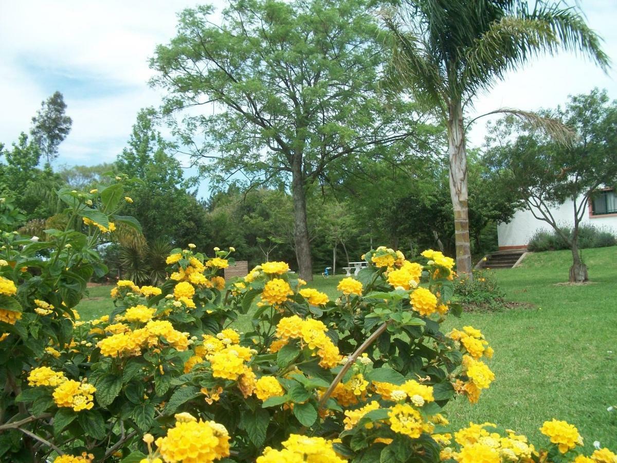 Hotel La Posta Del Dayman Termas del Dayman Exterior photo